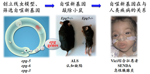 1525673903961097886.jpg 1525673903961097886.jpg