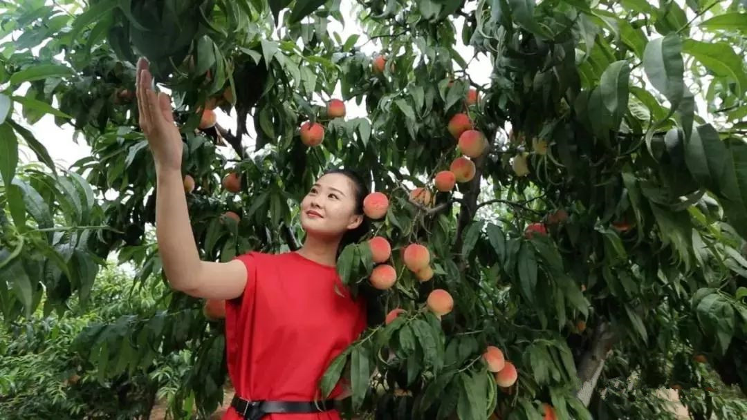 1533778823542082536.jpg 1533778823542082536.jpg