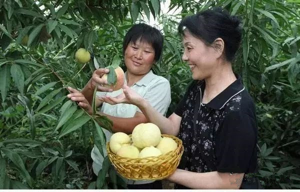 1533778839919031047.jpg 1533778839919031047.jpg