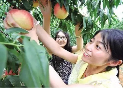 1533778897117063895.jpg 1533778897117063895.jpg